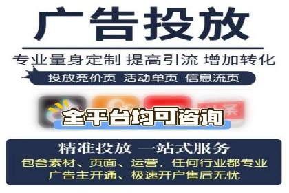 竞价托管与SEO结合的案例分析